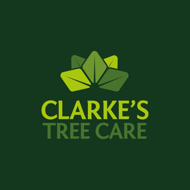 Clarke's Tree Care